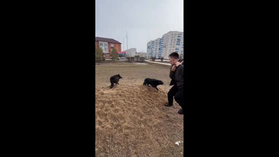 Man chased away by dogs after imitating barking in Uralsk, Kazakhstan