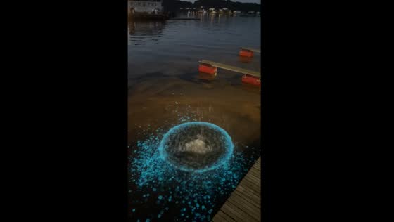 Bioluminescent glow captured in Grimstad, Norway