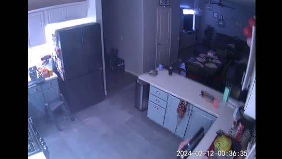El Centro earthquake: 4.8 magnitude shakes home and sending pet fleeing