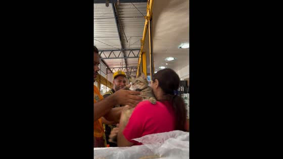 Cat owner reacts quickly after cat is grabbed in Manaus, Brazil