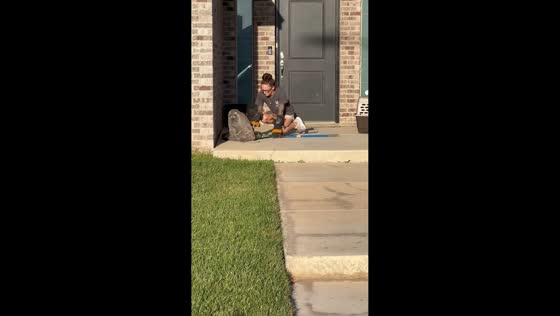 Woman rescues wild raccoon from front porch in Amarillo, Texas, USA