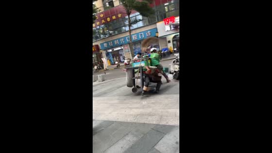Typhoon Noul's fierce winds sweep through Guangzhou, China