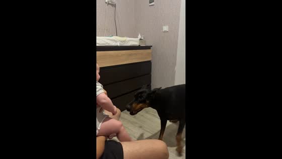 Doberman entertains baby with playful antics in Ananyev