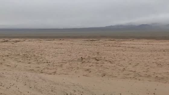 Flash flood and mudslide inundate highway on Qinghai–Gansu border in China