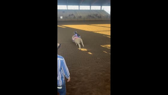 Young rider competes in mutton busting event in Norco, California, USA