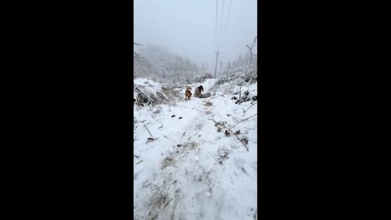 Playful winter moment as woman slides in Turnaround Village, Hunan, China