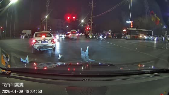 Multi-vehicle crash captured at an intersection in Liaoning, China