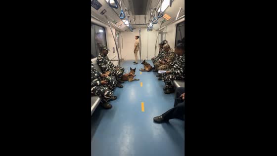 Government officers with dogs on Bengaluru Metro: a heartwarming sight