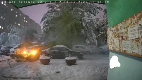 Tree collapses onto parked cars during heavy rain in Omsk, Russia