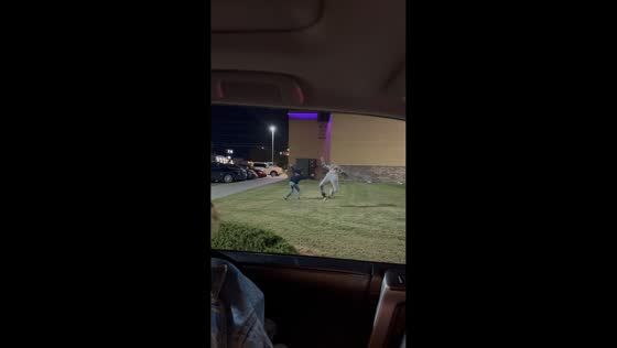 Brothers attempt flips while waiting in drive-thru in Waxahachie, Texas, USA
