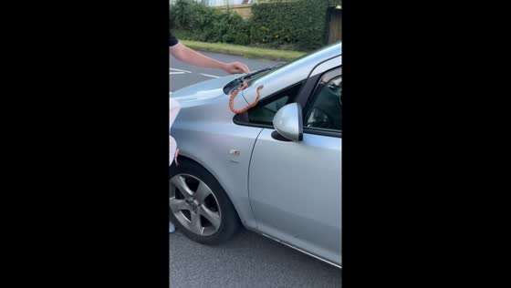 Caerphilly woman discovers corn snake on car; partner adopts it