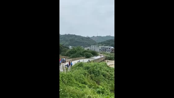 Large tree splits while passing under bridge in Guangxi, China