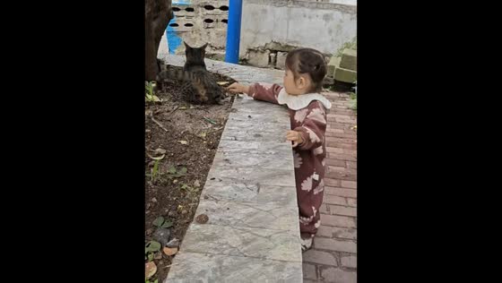 Child startled after cat falls onto her in Guizhou, China