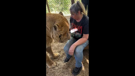 Woman cuddles rare hybrid feline in Apopka, Florida, USA