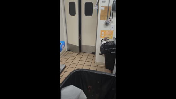 Pet dog peeks into kitchen smelling bacon in West Virginia, USA