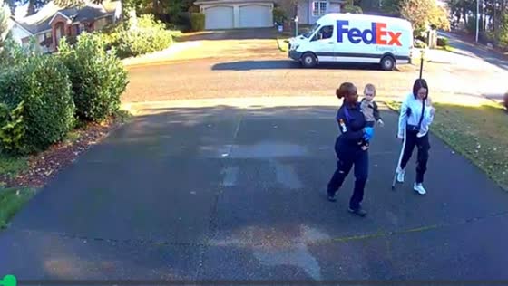 FedEx drivers rescue toddler who ran down sloped driveway in Washington, USA