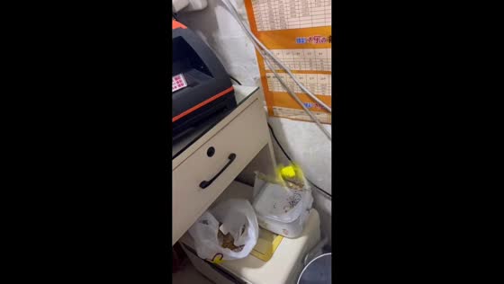 Parrot flaps wings while perched on lunch box in Liaoning, China