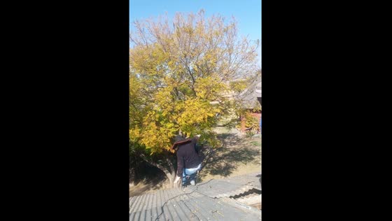 Person slips and falls from ladder after ignoring warnings in Ladysmith, South Africa