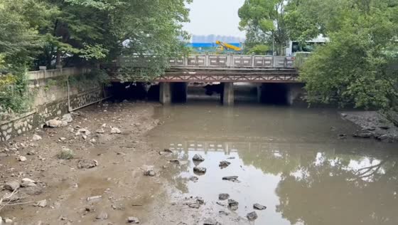 Muddy floodwater rapidly fills river beneath bridge in Zhejiang, China