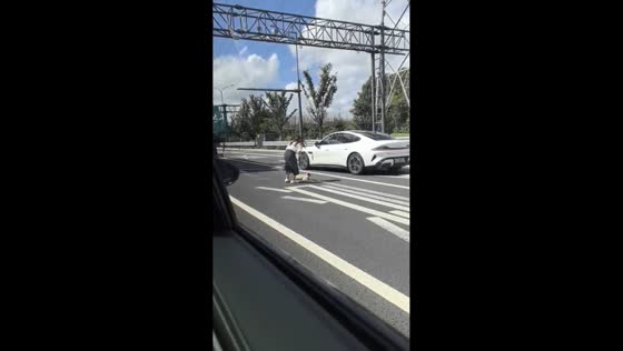 Woman and man rescue an injured dog from a highway in Jiangsu, China