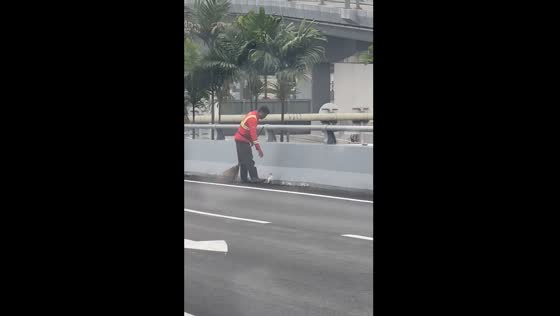 Road sweeper in Kuala Lumpur, Malaysia, rescues kitten and continues work