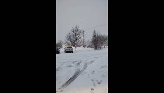 Steady snowfall during winter weather event in Geneseo, New York, USA