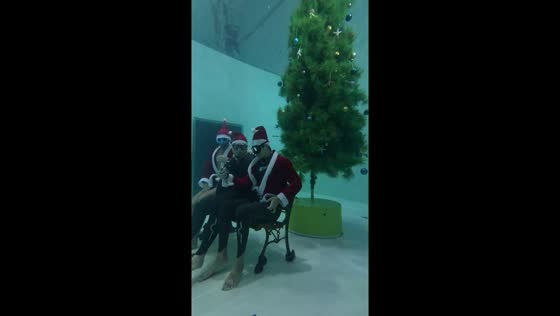 Underwater Christmas festivity: Christmas diving at Divecube Hotel, Taichung City