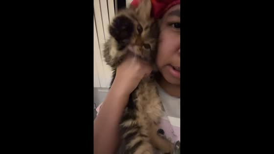 Cinnamon the kitty waving hello