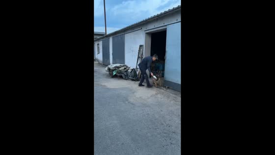 Dog loses balance after bumping into pot in Liaoning, China