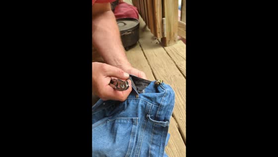 Husband rescues bumblebee trapped in pocket in Parishville, NY