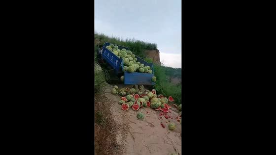 Truckload of watermelons spills onto muddy road in Shanxi, China