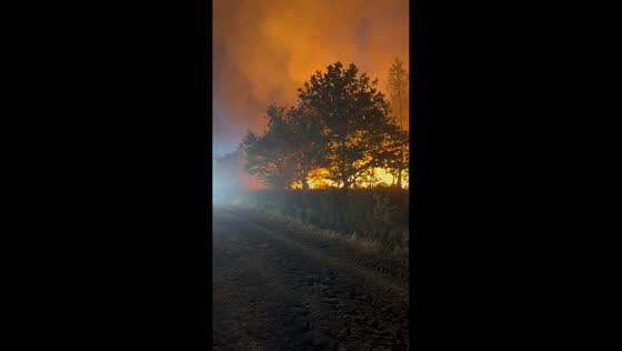 Massive wildfire smoke looms near Bordeaux, France