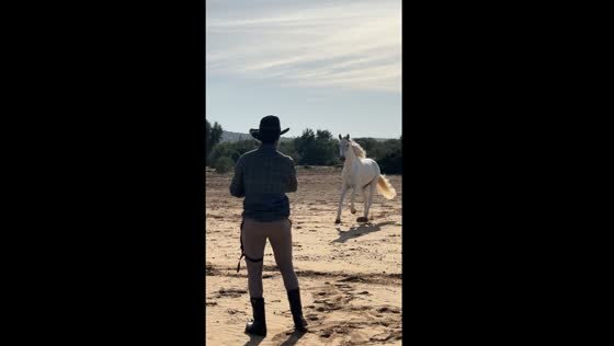 Owner's call: horse responds