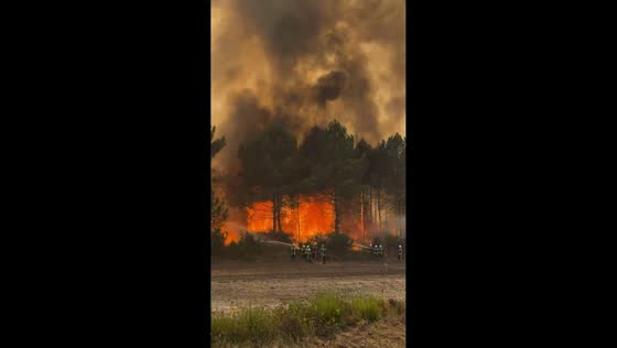 Massive wildfire burns 1,600 hectares and forces evacuations in Gironde, France