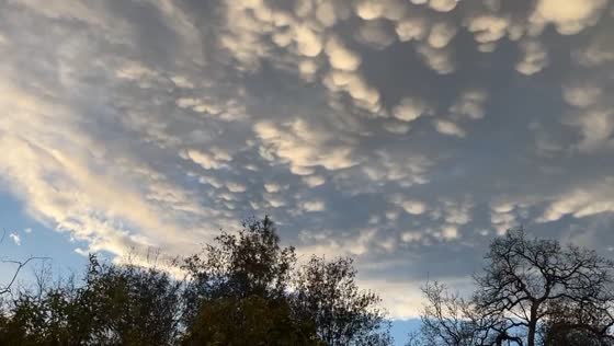 Stormy beauty: mammatus clouds blanket Sierra Nevada foothills in Auburn, California