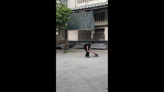 Dog runs off with shuttlecock during badminton game in Pasig, Philippines
