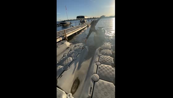 Person jumps from platform to stop drifting boat in Calgary