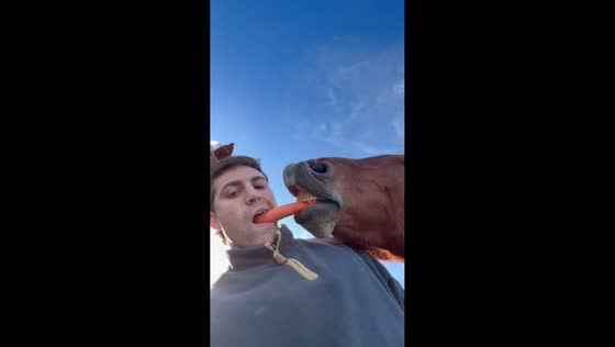 Man playfully shares a carrot with a horse in Canelones, Uruguay