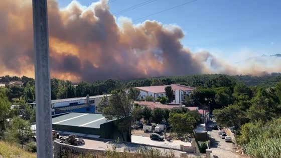 Wildfires ravage Cascais, Portugal: local residents and firefighters battle blaze in Sintra-Cascais Natural Park