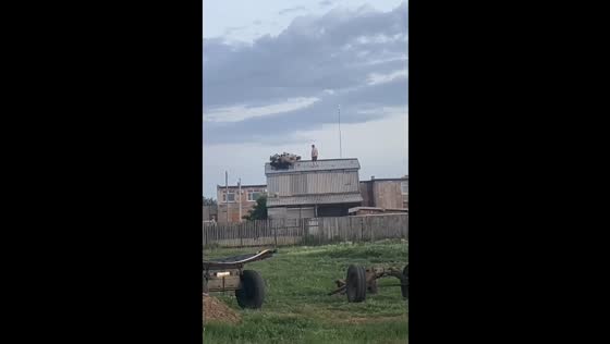 Sheep stranded on hayloft roof in Omsk