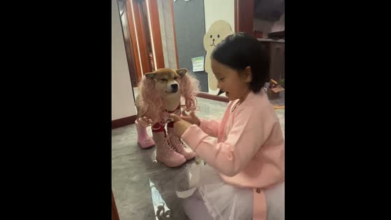 Child decorates dog with hair and shoes in Jiangsu, China