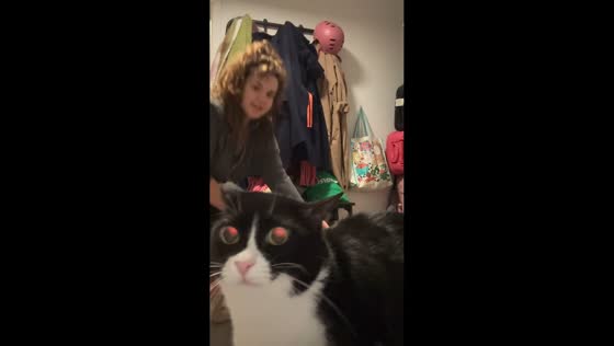Cat quickly jumps into box after owner calls in Germany