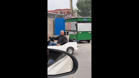 Man drives small convertible car with dog in Shenyang, China