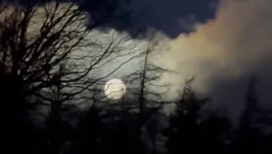 Supermoon shining at dawn in South Dublin, Ireland