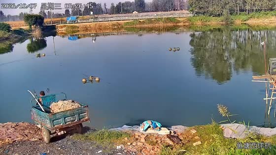Electric cargo tricycle tips into the water beside a river in Jiangsu, China