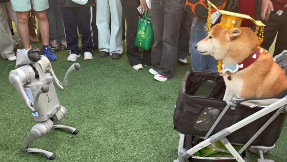 Robot and dog share adorable interaction during Pet Day in Guangdong, China