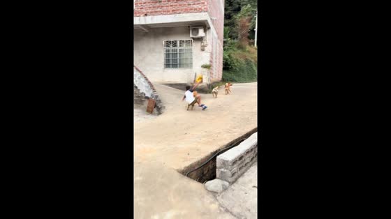 Boy trips and falls after colliding with dogs during uphill run in Guangxi, China