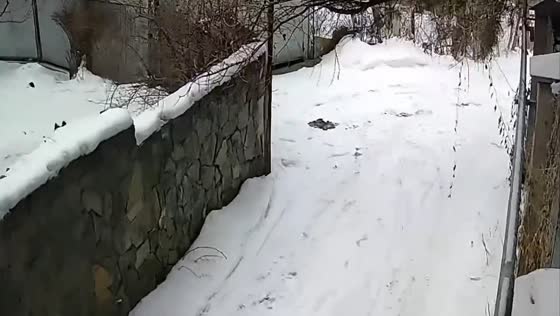 Earthquake hits Almaty, Kazakhstan: security camera captures moment of impact