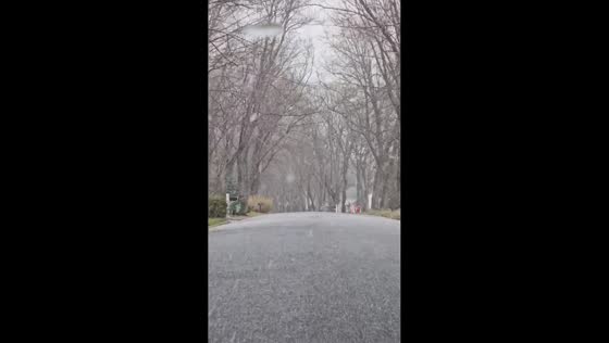 Snow, hail, and graupel sweep through town in New Jersey, USA