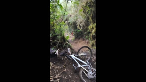 Mountain biker loses control and crashes into bushes on a muddy trail in Bolívar, Ecuador
